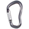 AustriAlpin - Pirum 3-Wege Autolock - Locking Carabiner