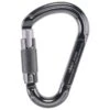 Beal - Be Lock - Screwgate Carabiner