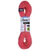 Beal - Tiger 10 Mm Golden Dry - Single Rope
