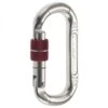 C.A.M.P. - Oval Compact Lock - Screwgate Carabiner