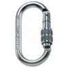 C.A.M.P. - Oval Pro Lock - Steel Carabiner