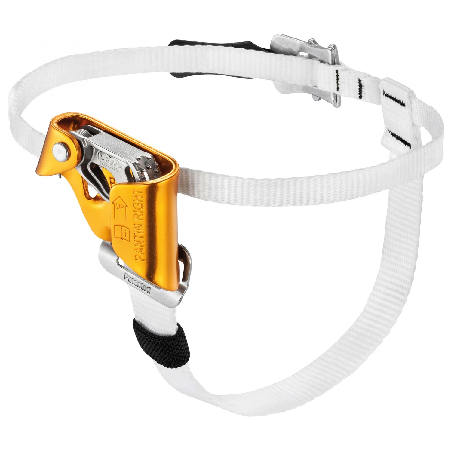 Petzl - Pantin - Ascender 2 Petzl - Pantin - Ascender - Image 2