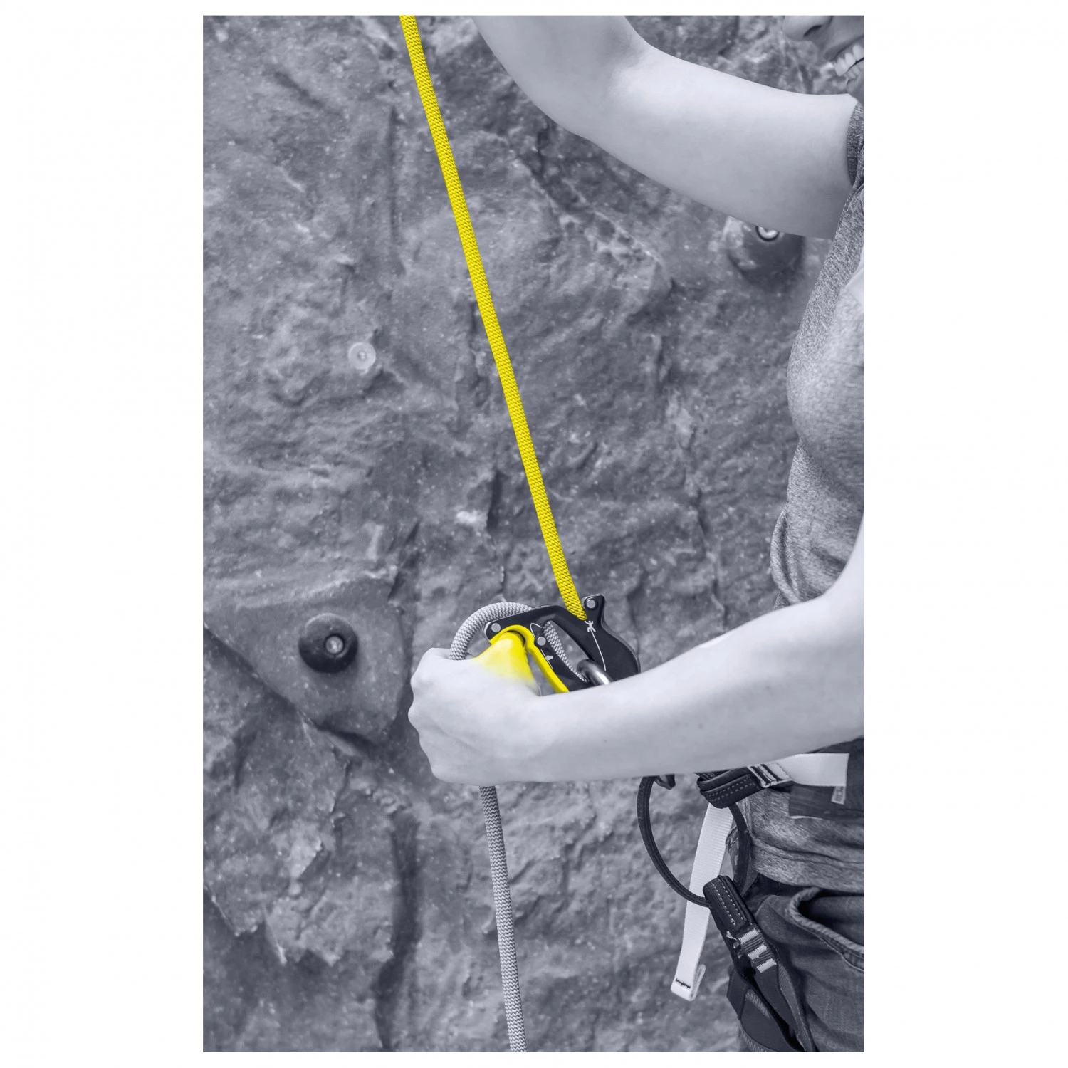 Salewa - Ergo Belay System - Belay Device 3 Salewa - Ergo Belay System - Belay Device - Image 3