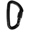 Wild Country - Session Screw Gate - Screwgate Carabiner