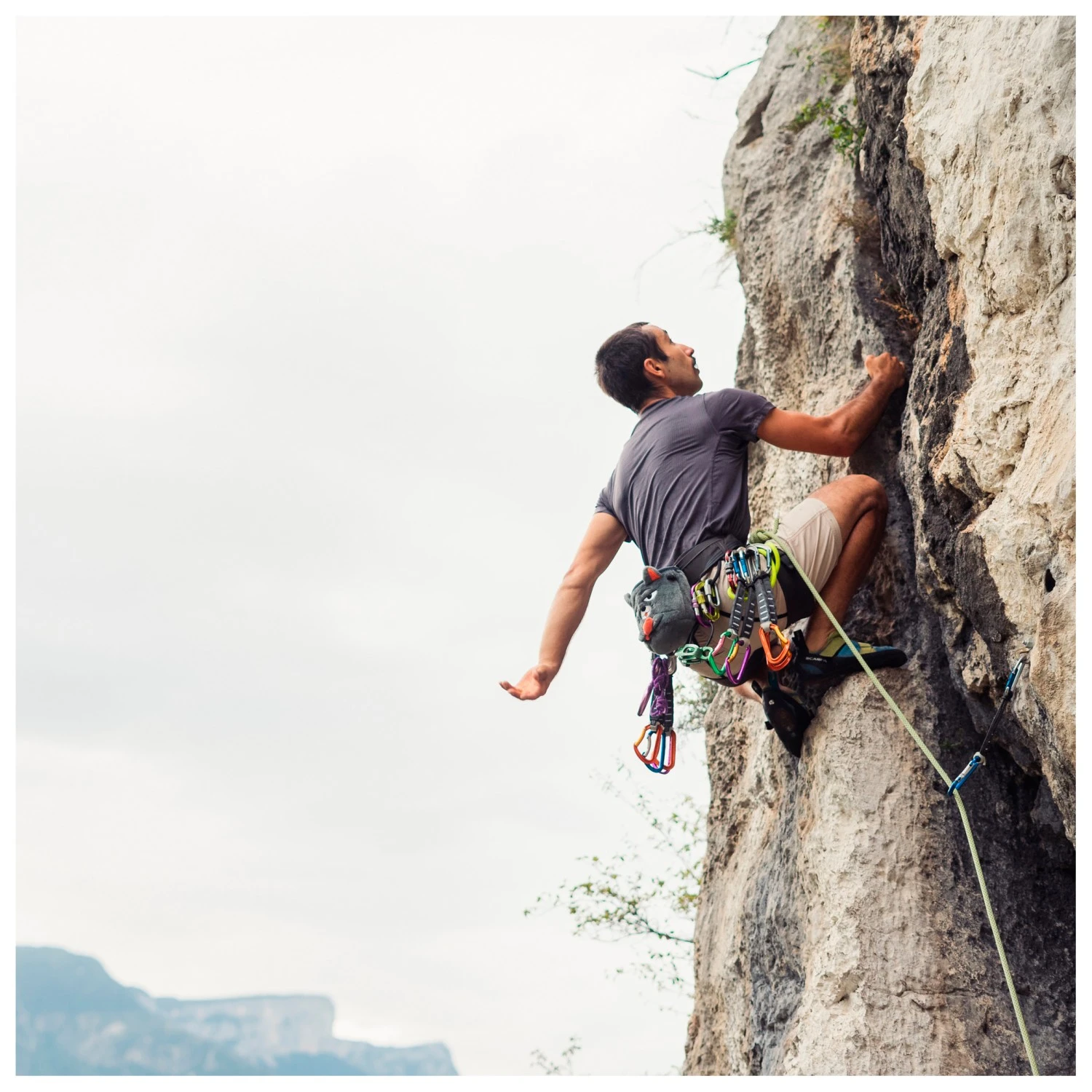 YY Vertical - Chalk Bag Grey Cat - Chalk Bag 5 YY Vertical - Chalk Bag Grey Cat - Chalk Bag - Image 5