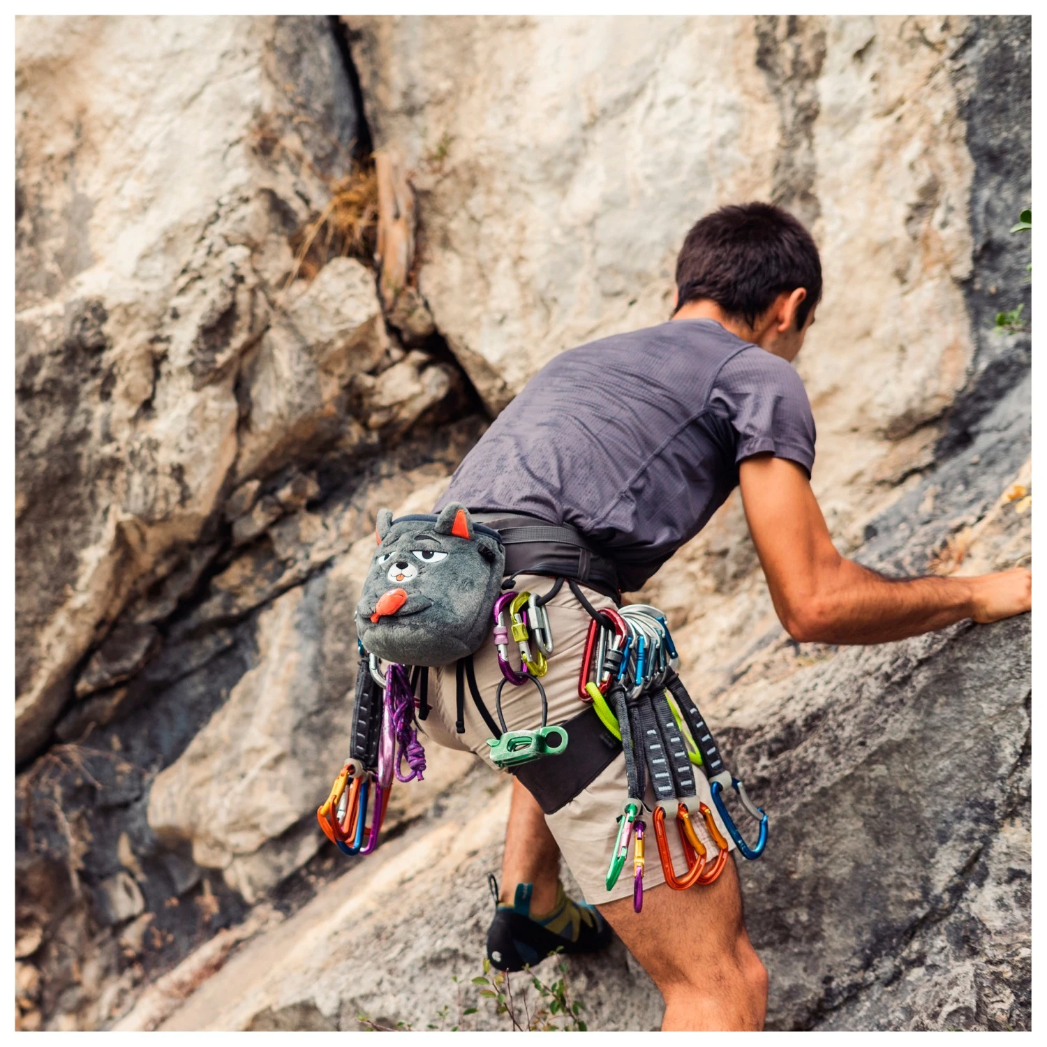 YY Vertical - Chalk Bag Grey Cat - Chalk Bag 6 YY Vertical - Chalk Bag Grey Cat - Chalk Bag - Image 6